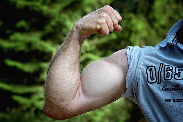 류신단백질 : 근육을 만들고 운동후 회복에 도움